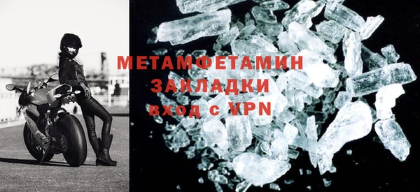 мяу мяу мука Дмитриев
