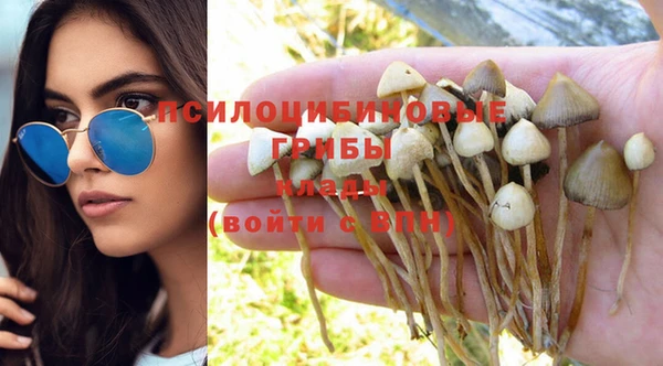 дживик Дмитровск