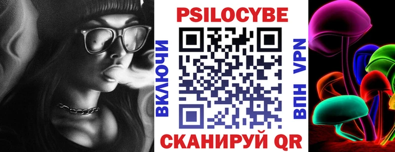 Псилоцибиновые грибы Psilocybe  Заринск 