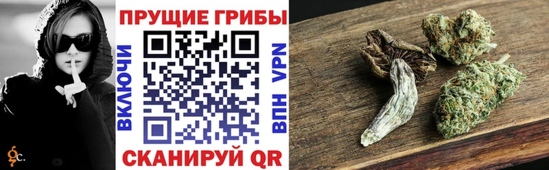 Псилоцибиновые грибы ЛСД Заринск