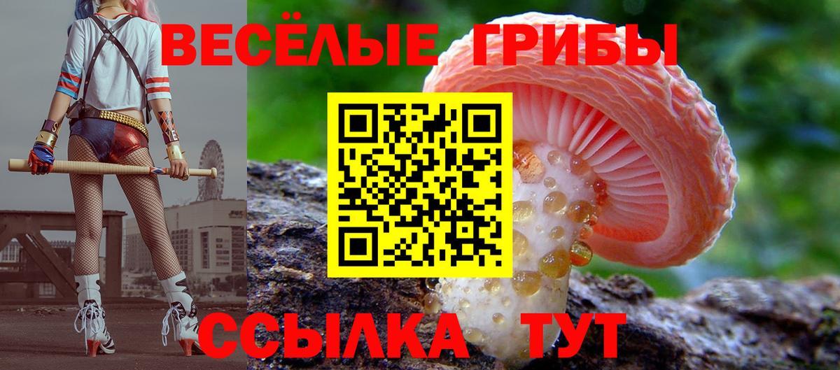 Галлюциногенные грибы ЛСД  Вход с VPN  Заринск 